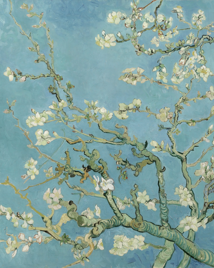 Van Gogh