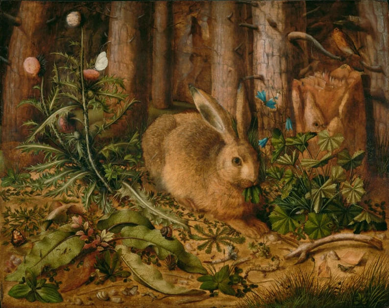 A Hare in the Forest by Hans Hoffmann Wall art, Home Decor, Vintage Poste, Poster, Vintage, housewarming gift, Gifts for sister, Gifts for mom, Gifts for friends,Gifts, Art