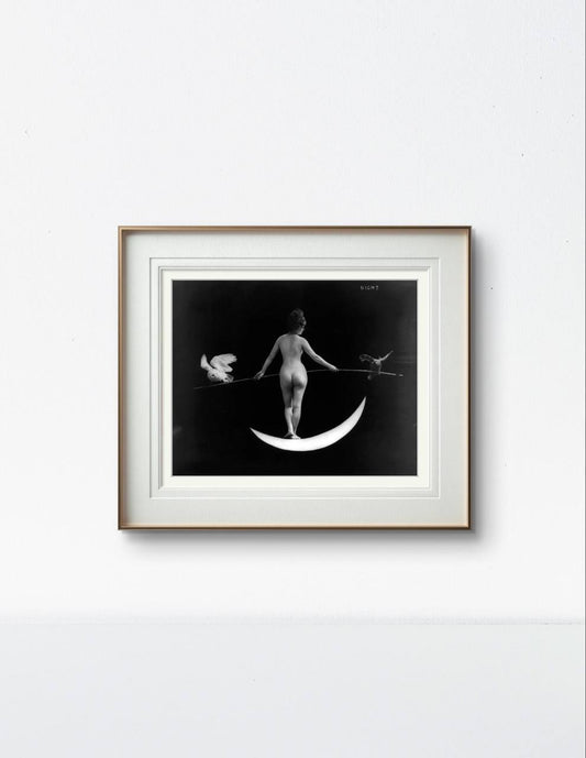 The same framed artwork, displayed on a white wall, enhances the minimalistic elegance of the piece. The moonlit scene and the delicate figure balance between light and darkness, adding a magical touch to the space.
