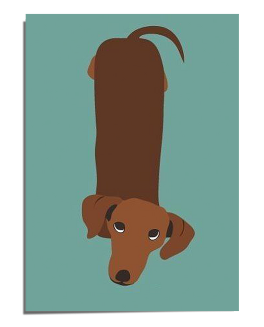 A simple, flat illustration of a brown dachshund viewed from above, with a long body, floppy ears, and a curved tail, set against a solid teal background. The dog has big, expressive eyes looking up, adding a playful and curious expression to the artwork. The design is minimalist and modern, making it a fun yet stylish pet-themed print.