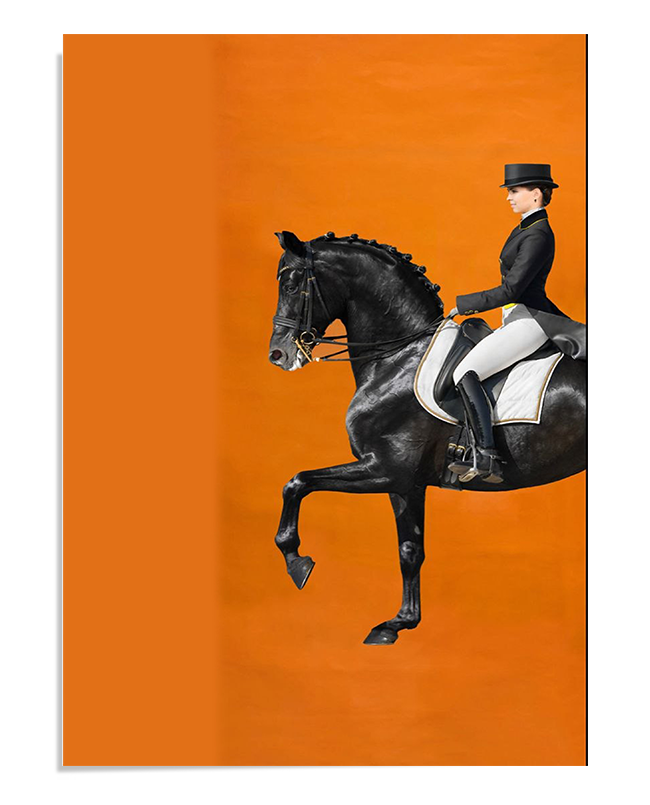 A black dressage horse performing an elevated trot, ridden by a woman in formal dressage attire, including a black tailcoat, white riding pants, polished riding boots, and a top hat. The horse’s mane is neatly braided, and it wears an elegant white saddle pad with gold trim. The background is a solid, rich orange, creating a striking contrast against the black horse and rider. The image showcases precision, grace, and control, embodying the beauty of equestrian sport.