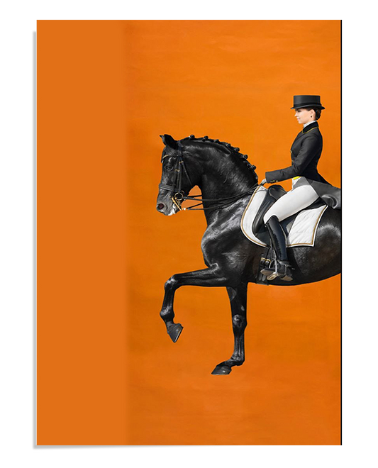 A black dressage horse performing an elevated trot, ridden by a woman in formal dressage attire, including a black tailcoat, white riding pants, polished riding boots, and a top hat. The horse’s mane is neatly braided, and it wears an elegant white saddle pad with gold trim. The background is a solid, rich orange, creating a striking contrast against the black horse and rider. The image showcases precision, grace, and control, embodying the beauty of equestrian sport.