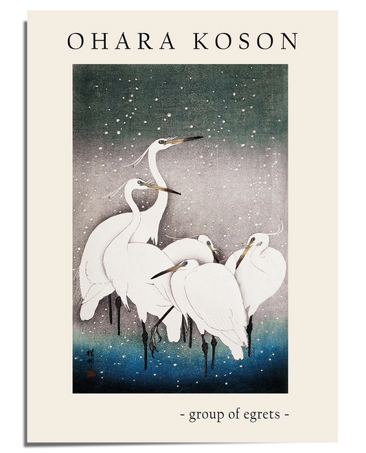 A traditional Japanese-style artwork featuring a group of white egrets standing closely together in a misty setting. The background transitions from a deep blue at the bottom to a soft gray towards the top, with falling snowflakes adding a peaceful atmosphere. The birds’ slender necks and delicate feathers are finely detailed, showcasing Ohara Koson’s signature woodblock print style. The composition is framed by a cream-colored border with the artist’s name at the top and the title "Group of Egrets" at the