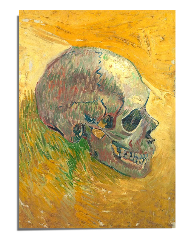 A post-impressionist painting featuring a human skull painted in bold strokes of green, blue, and red. The skull is set against a textured golden-yellow background, with expressive brushwork creating movement and depth. The side profile of the skull reveals its detailed structure, with hollow eye sockets and defined teeth, giving the composition a dramatic and thought-provoking presence.