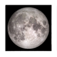 This striking poster features a high-resolution image of the full moon, showcasing its detailed craters and textured surface against a black background. The intricate details of the lunar surface are captured perfectly, making this print an ideal addition for anyone passionate about astronomy or space-themed decor. 