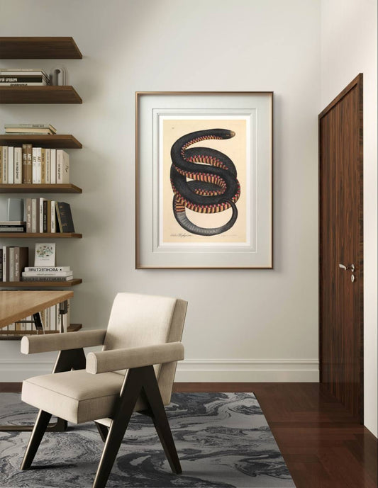 A framed vintage snake poster, with red and yellow scales, is displayed in a modern office. The neutral decor and wooden shelves add a stylish touch to the detailed illustration