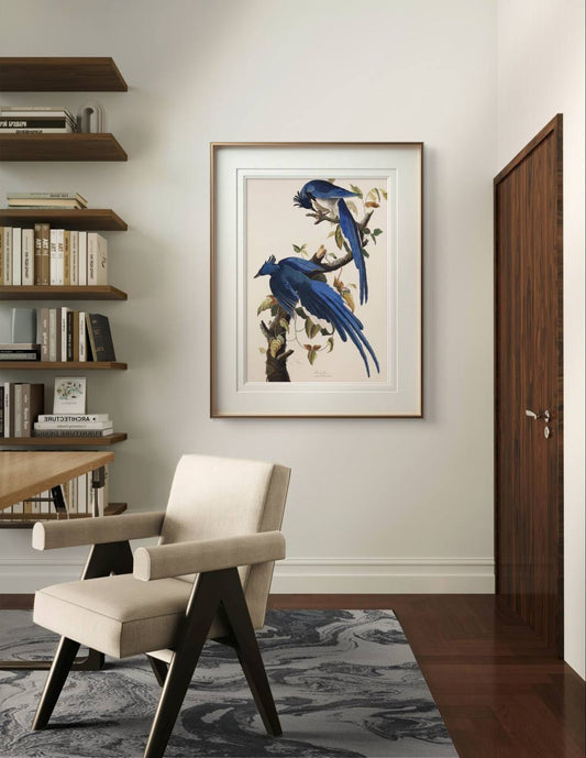 A vintage bird print featuring two vivid blue birds hangs in a cozy office space. The elegant frame and natural tones of the room enhance the striking details of the artwork