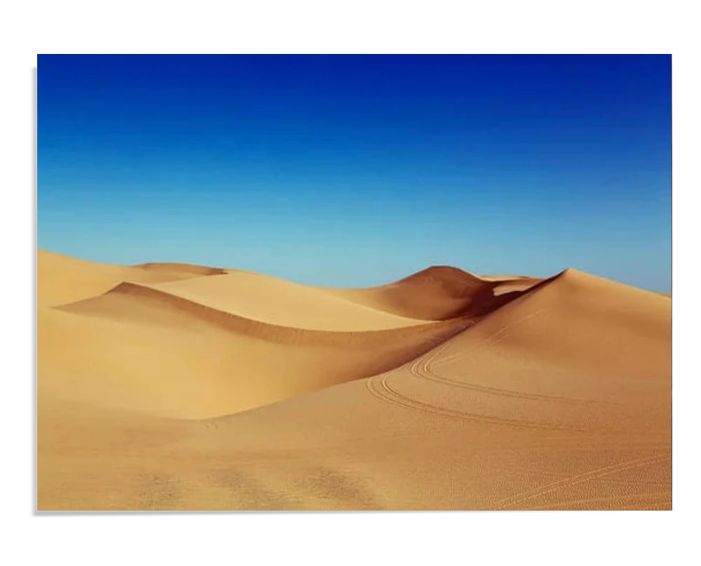 A stunning desert landscape with golden sand dunes stretching across the horizon. The smooth curves of the dunes contrast with the deep blue sky, creating a calm and expansive view.