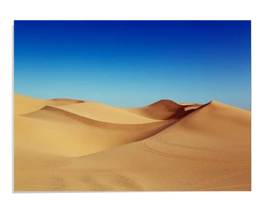 A stunning desert landscape with golden sand dunes stretching across the horizon. The smooth curves of the dunes contrast with the deep blue sky, creating a calm and expansive view.