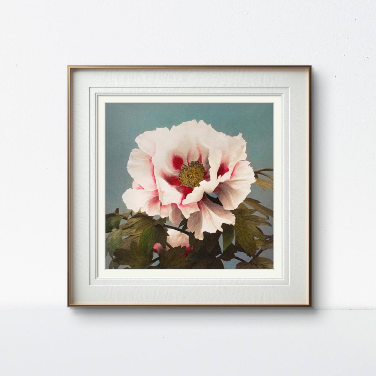 First Image: A framed artwork of a large pink peony flower with soft petals and red accents at the center, set against a muted teal background. The green leaves add contrast to the delicate flower. The gold and white frame gives it a vintage look