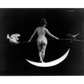 A black-and-white image of a nude woman balancing on a crescent moon, holding a pole with an owl on one side and a bat on the other. The minimalistic composition, titled "Night," exudes a sense of ethereal beauty and mystery.