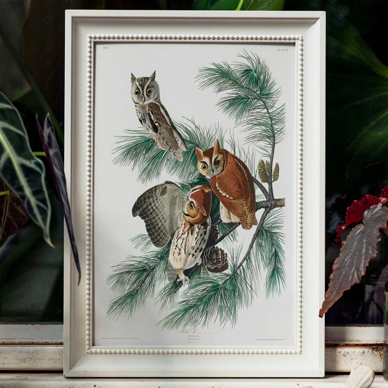 Wall art, Home Decor, Vintage Poste, Poster, housewarming gift, Gifts for sister, Gifts for mom, Gifts for girls, Gifts for friends,Gifts, Animals