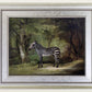 Zebra Poster George Stubbs, Romantic Animal Art, Equine Elegance Artwork, Nature Painting, Classic Wall Decor, Animal Art Print, Vintage Art