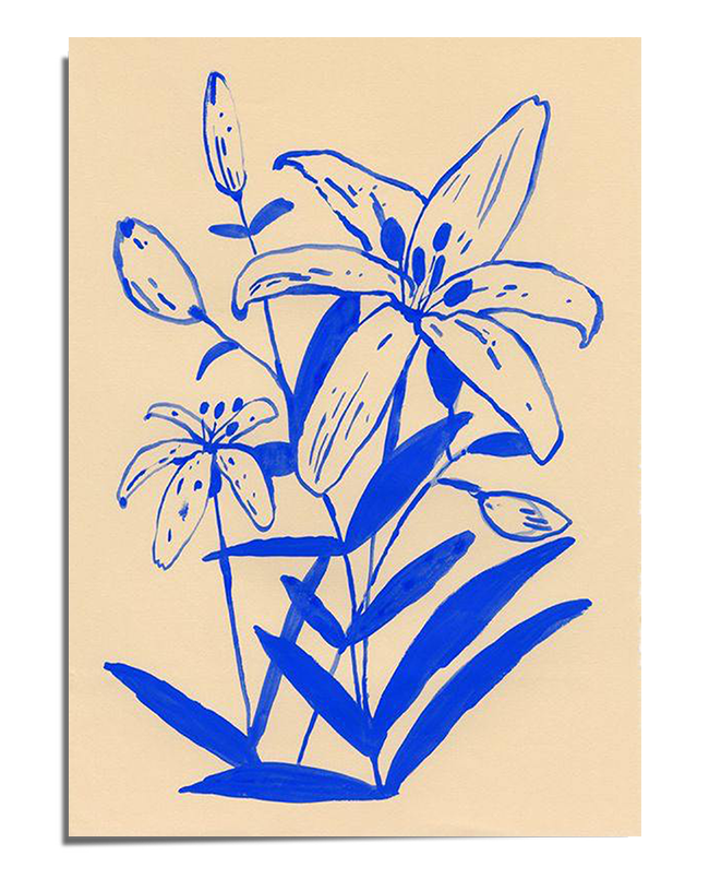 Blue Lily Sketch - Minimalist Floral Line Art Print