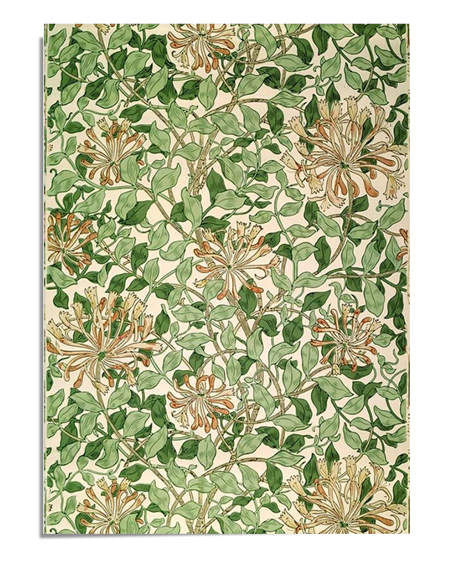 A botanical design featuring honeysuckle flowers intertwined with green vines. The flowers and leaves are detailed, with soft, earthy tones creating a harmonious, natural pattern. The background is light, allowing the intricate elements to stand out in the design.