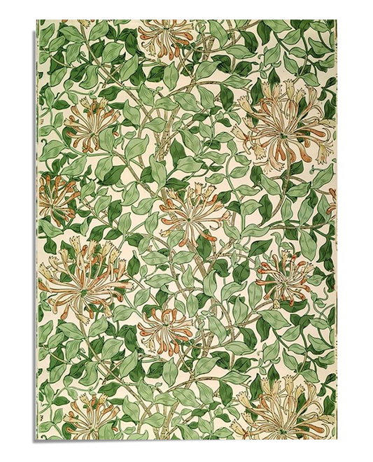 A botanical design featuring honeysuckle flowers intertwined with green vines. The flowers and leaves are detailed, with soft, earthy tones creating a harmonious, natural pattern. The background is light, allowing the intricate elements to stand out in the design.