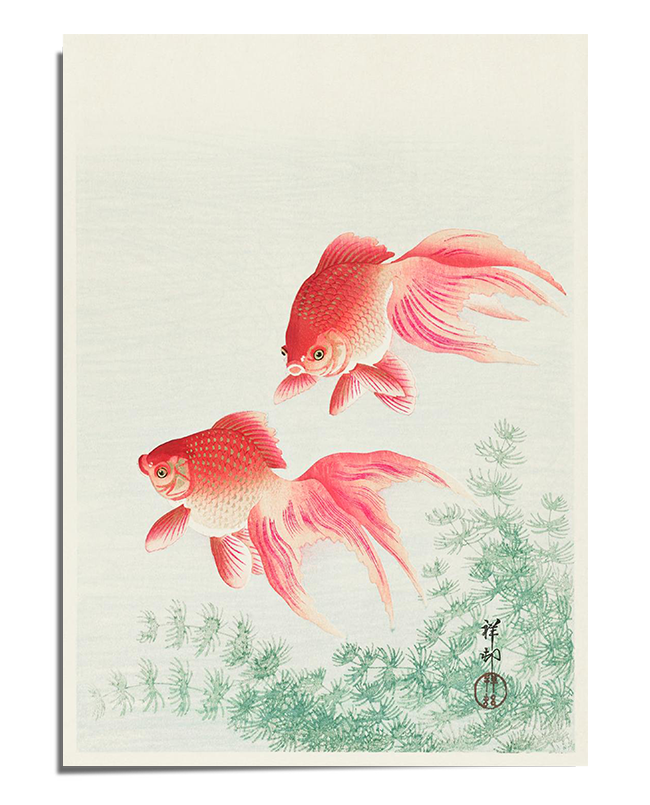 A soft, elegant painting featuring two pink goldfish gracefully swimming against a light background. Their flowing fins create a sense of movement, while delicate green aquatic plants add balance to the composition. Japanese calligraphy in the corner enhances the traditional aesthetic of the piece.