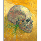 A post-impressionist painting featuring a human skull painted in bold strokes of green, blue, and red. The skull is set against a textured golden-yellow background, with expressive brushwork creating movement and depth. The side profile of the skull reveals its detailed structure, with hollow eye sockets and defined teeth, giving the composition a dramatic and thought-provoking presence.

